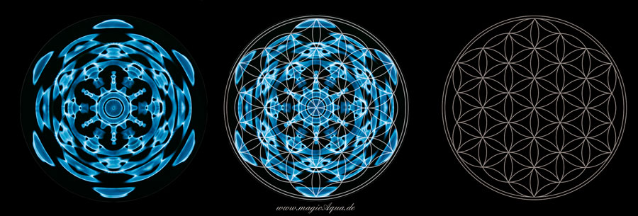 Cymatic pattern at 36,14 Hz plus flower of life to show the geometry